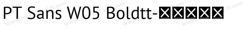 PT Sans W05 Boldtt字体转换